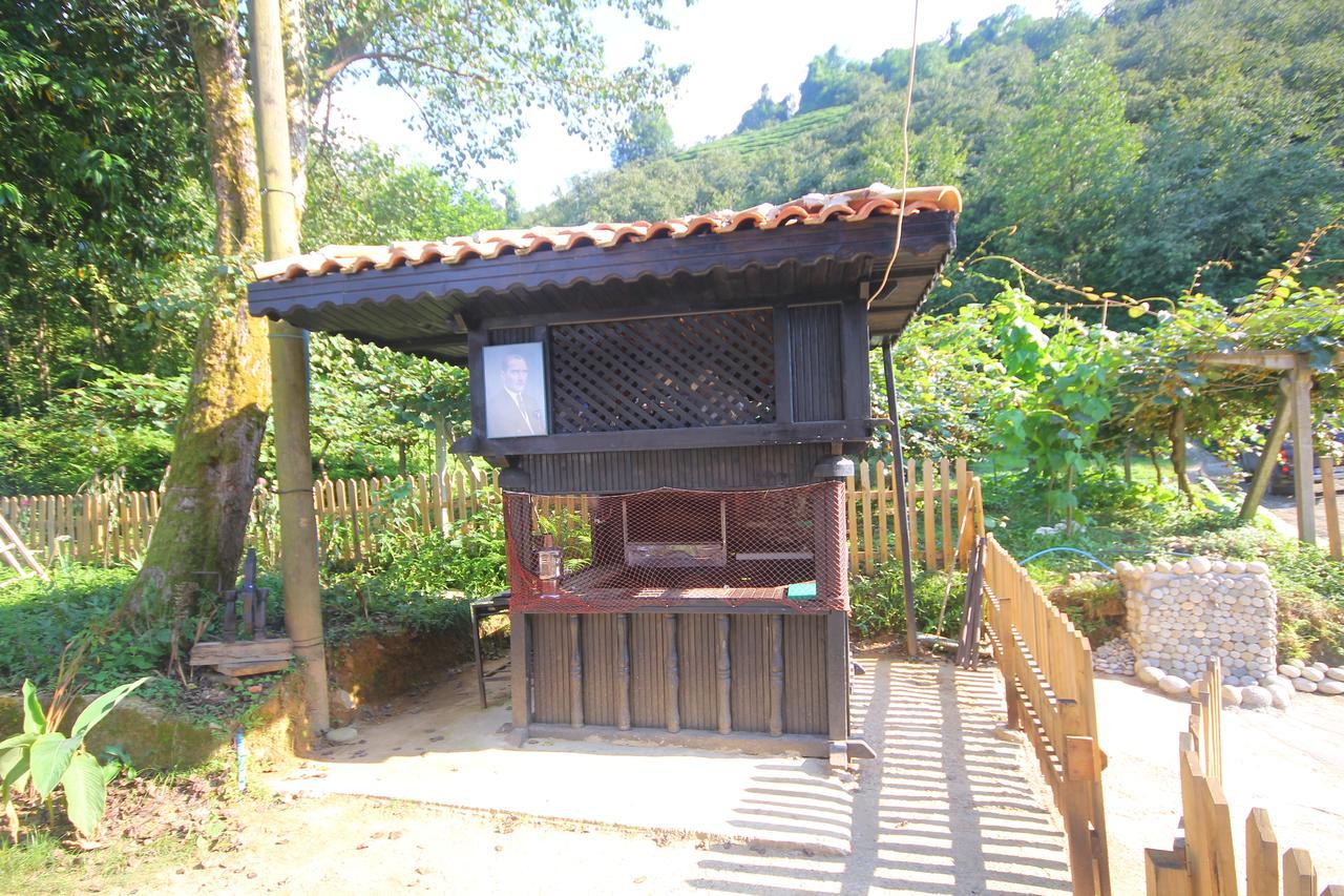 Inceler Konagi Villa Findikli  Ngoại thất bức ảnh