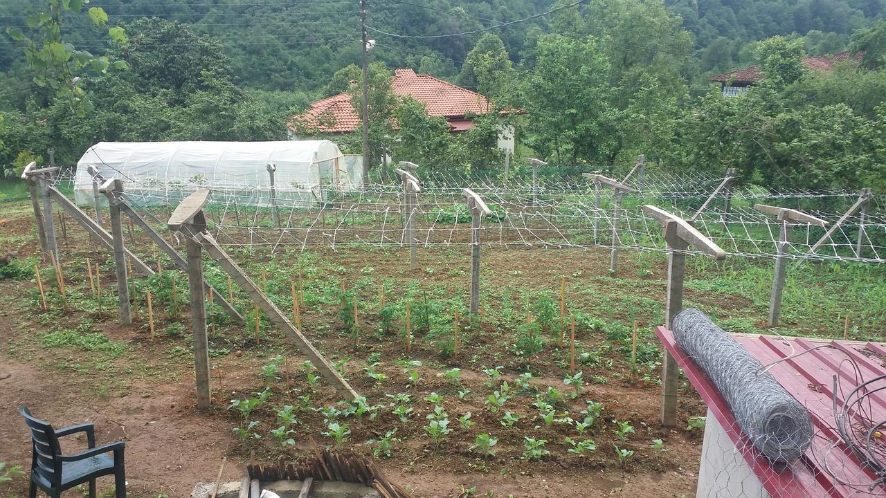 Inceler Konagi Villa Findikli  Ngoại thất bức ảnh